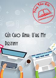 Gửi Cho Anh: U're My Destiny